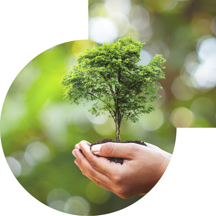 关怀人类、文化、环境与社会